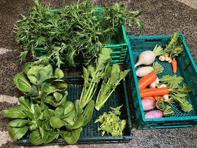 へんてこファーム