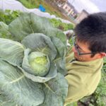 へんてこファーム