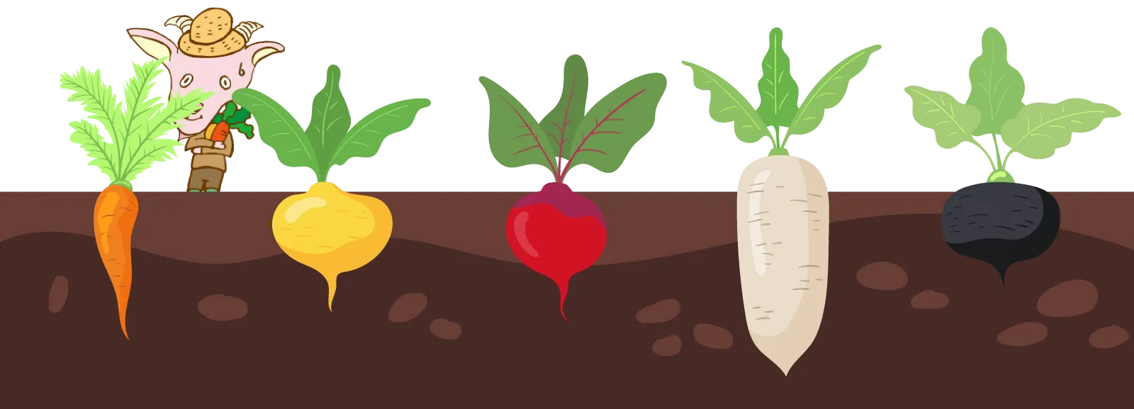 へんてこファーム 野菜の育成状況